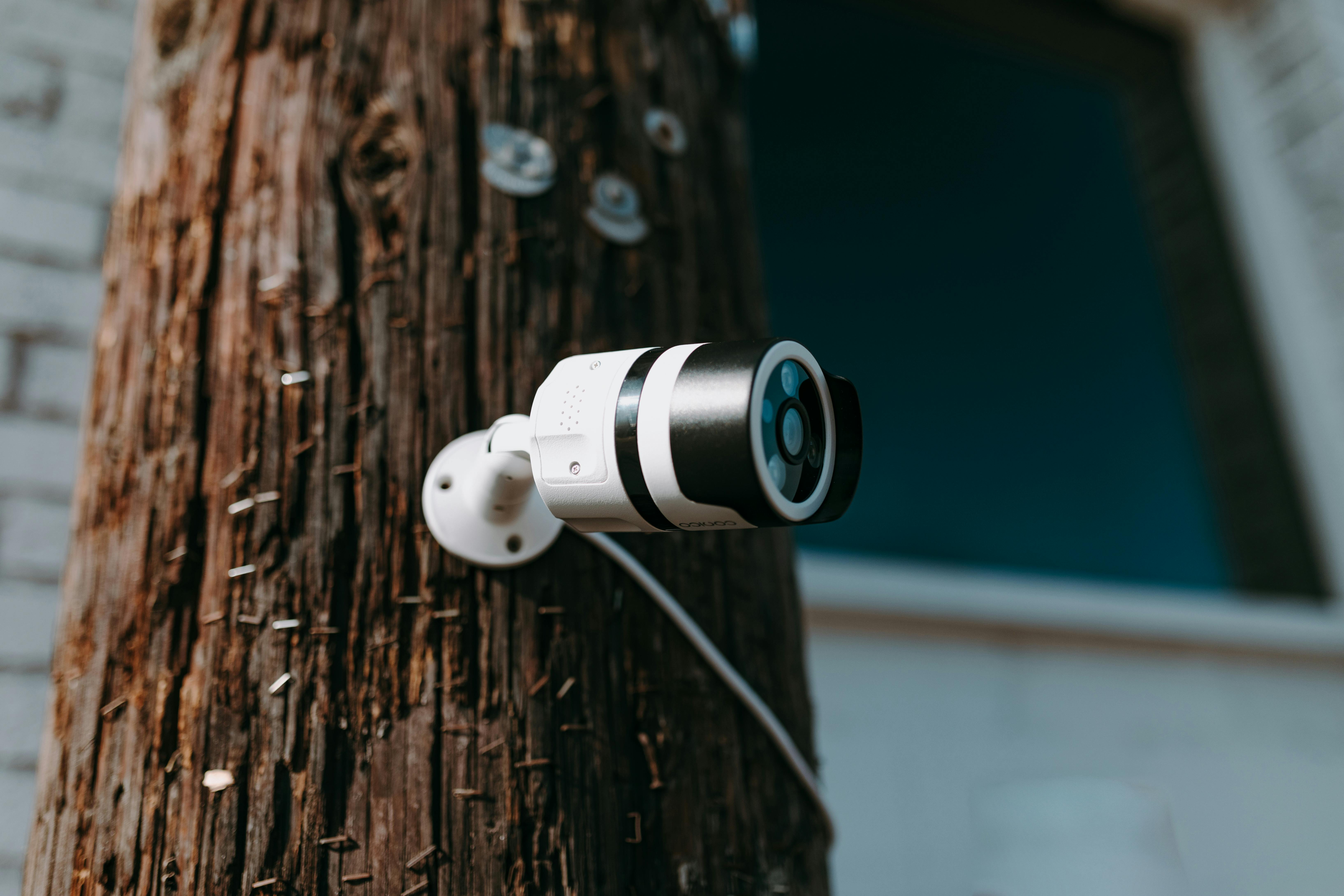PBL2MDF Dome Camera